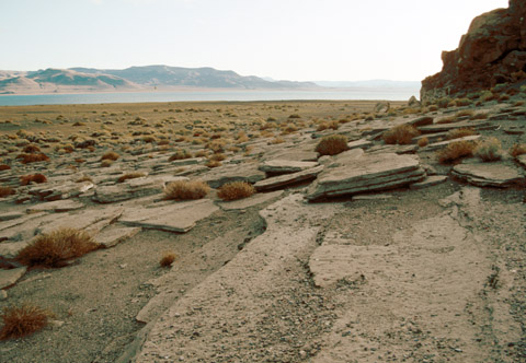 Layers of beachrock