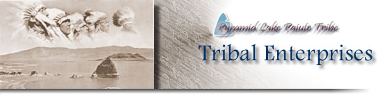 Tribal Enterprises Logo